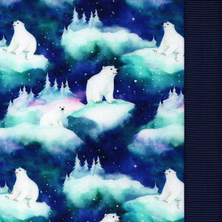 Aurora Bearyalis