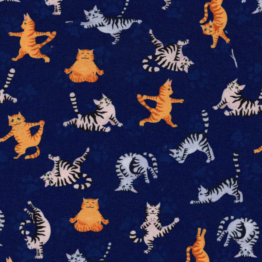 Catrobatics