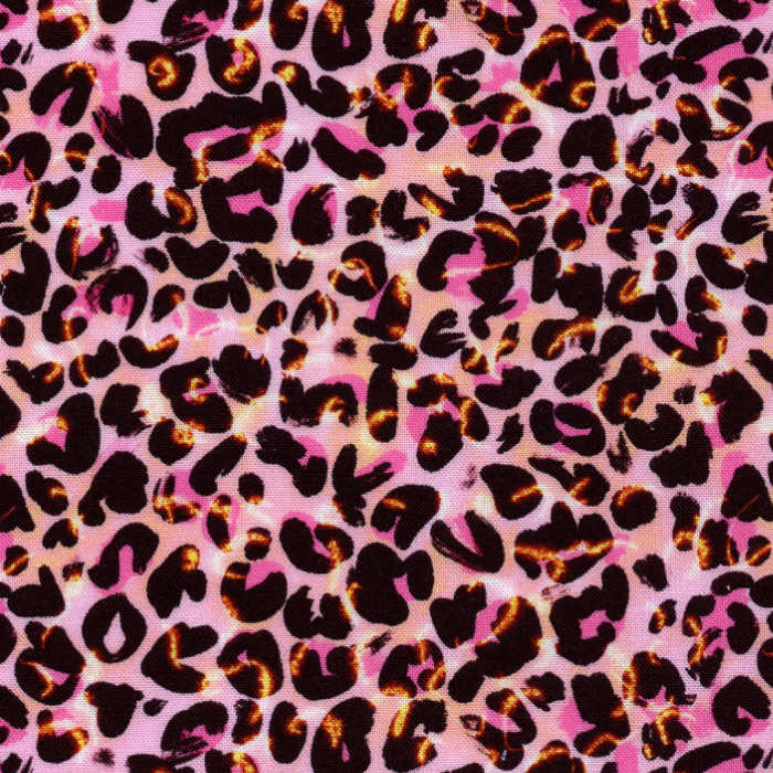 Cheetah Chic
