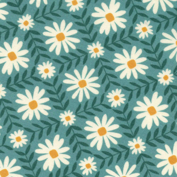 Daisy Maze