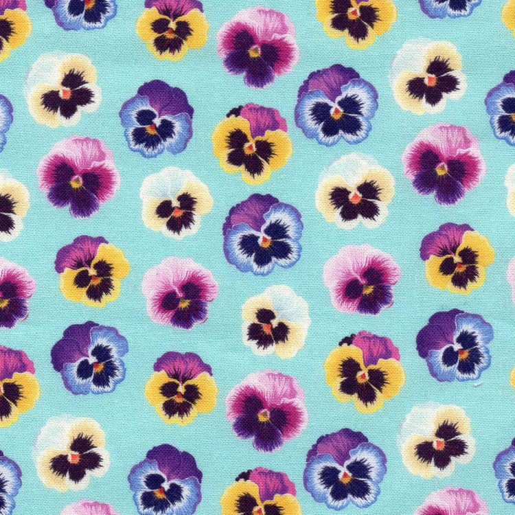 Fancy Pansy