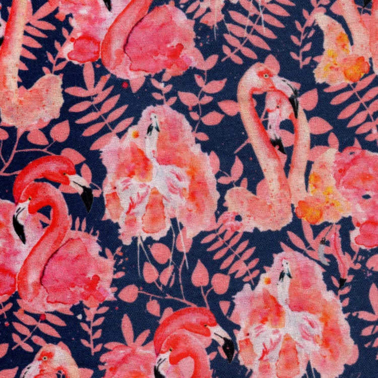 Flamingo Island