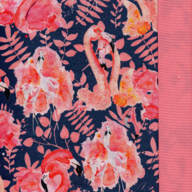 Flamingo Island