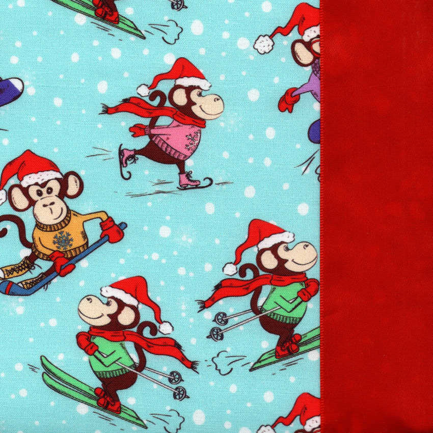 Monkey Ski Monkey Do