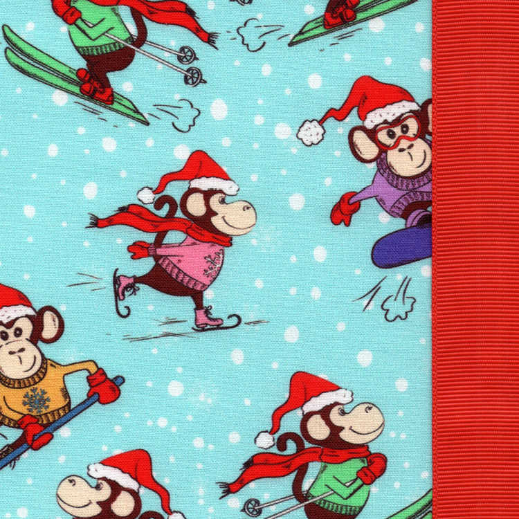 Monkey Ski Monkey Do