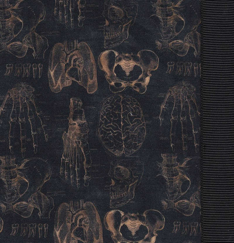 Scanatomy
