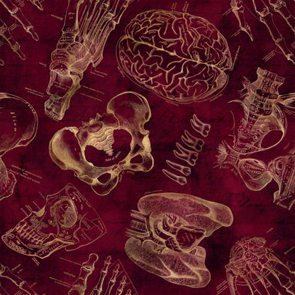 Anatomy Lesson