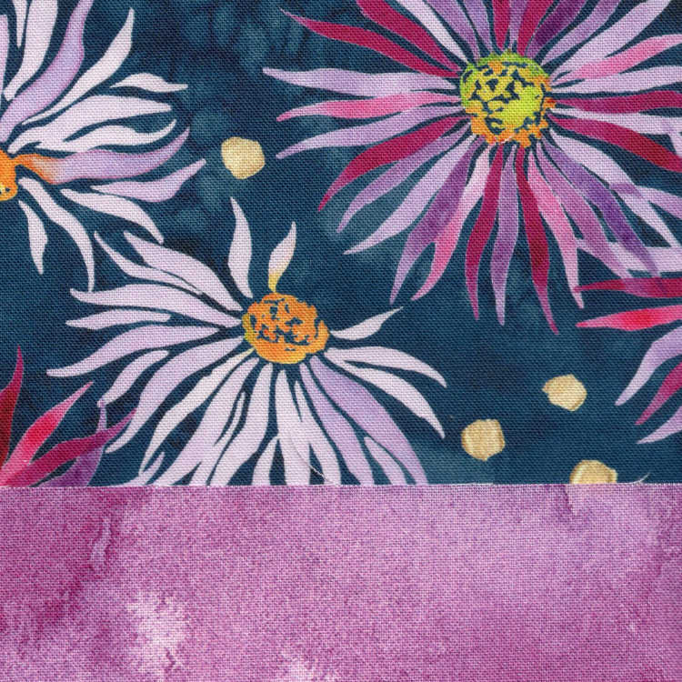 Aster Ambiance