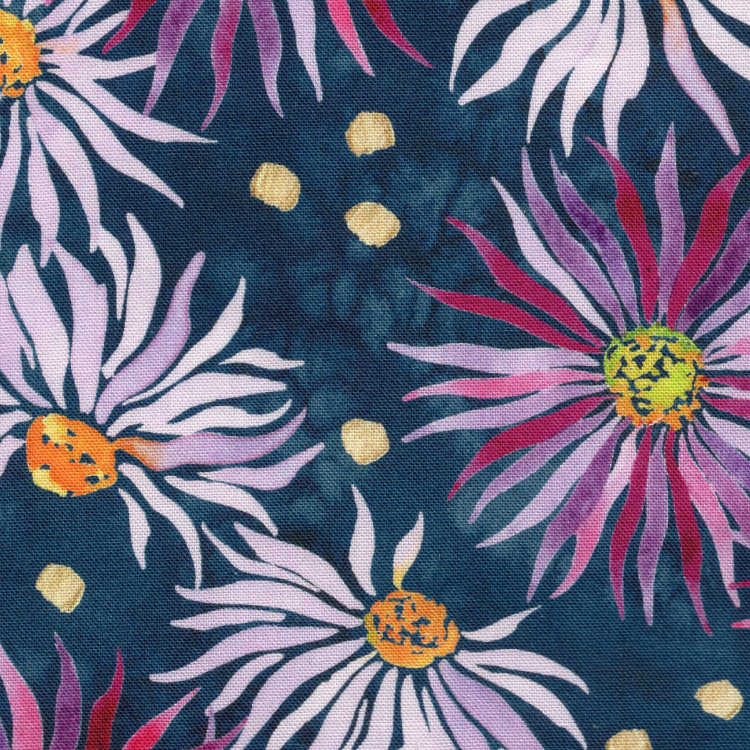 Aster Ambiance
