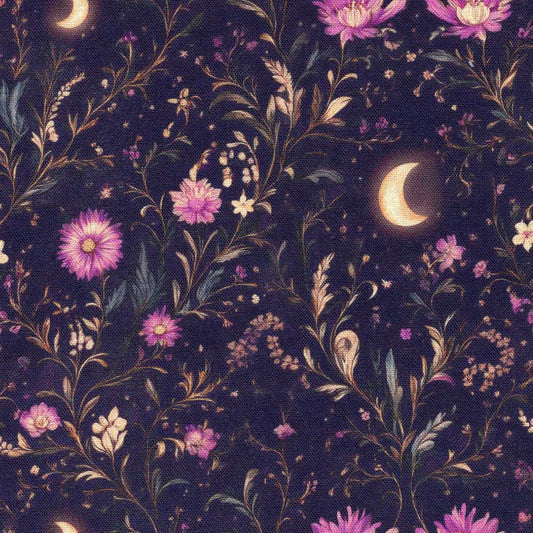Aster Twilight