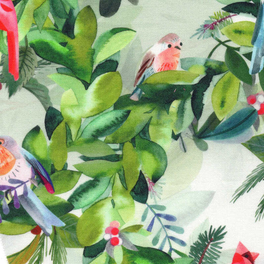 Bird Sanctuary
