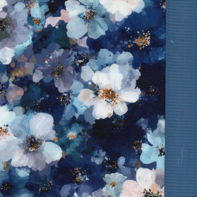 Blue Phlox