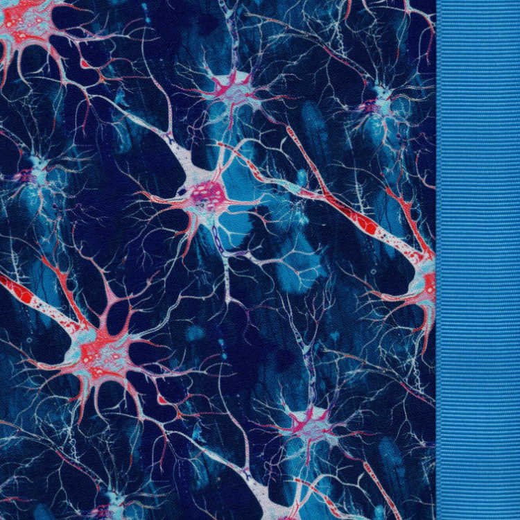 Brainstorm