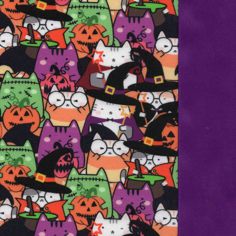 Cat Coven