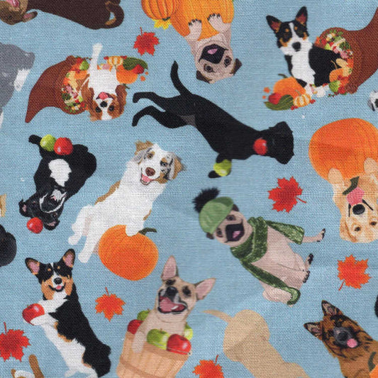 Chilly Dogs