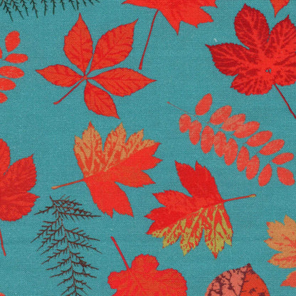Confetti Fall