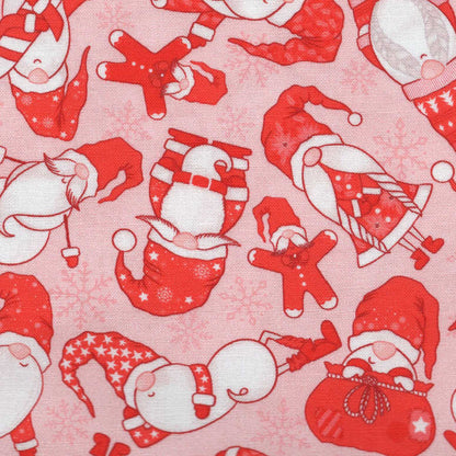 Cozy Gnomies