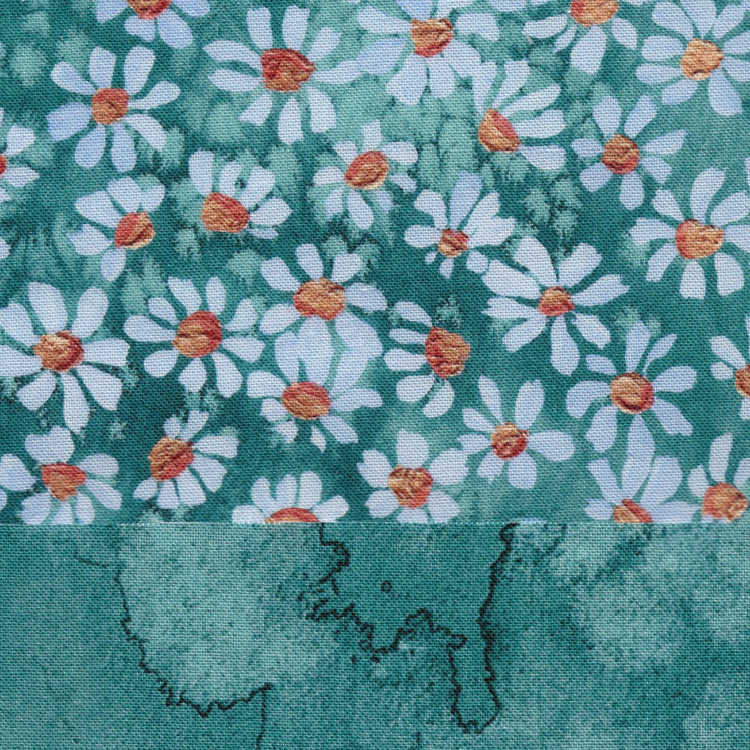 Daisy Impressions