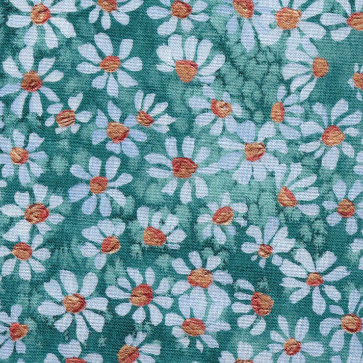 Daisy Impressions