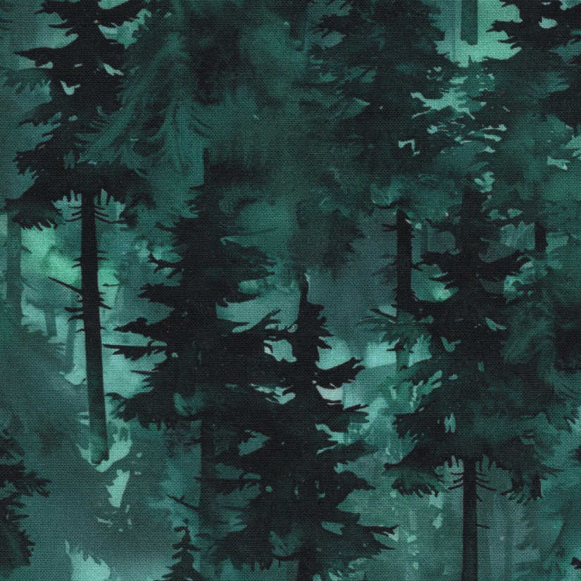 Forest Hush