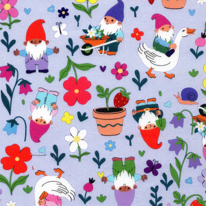 Gnome and Garden