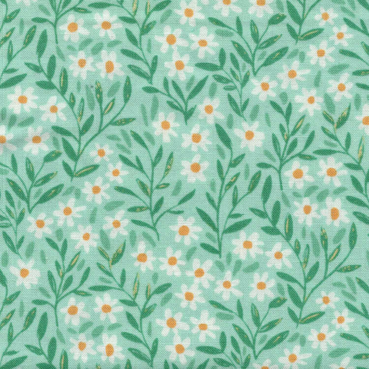 Scattered Daisies