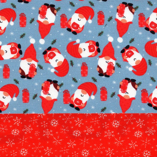 Snowy Gnomie