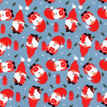 Snowy Gnomie