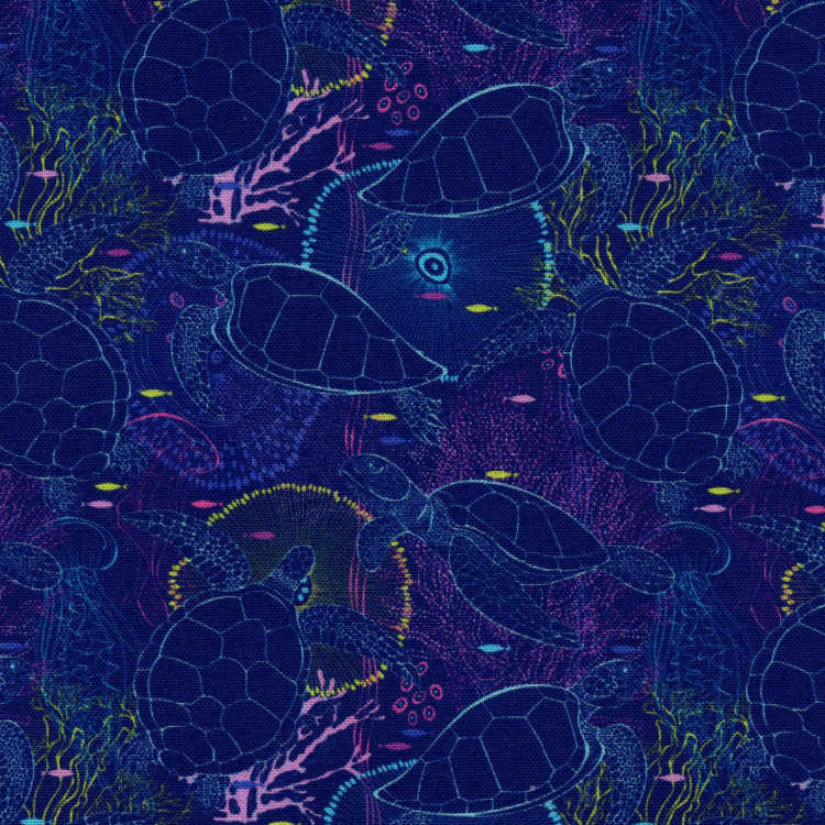 Turtally Jelly