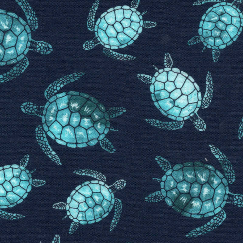 Turtle Cove