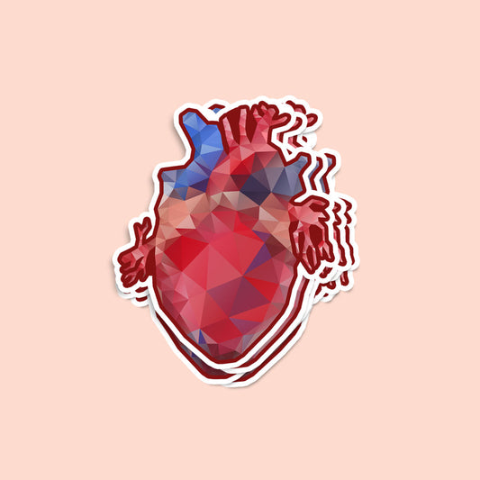 Aortic Arch Sticker