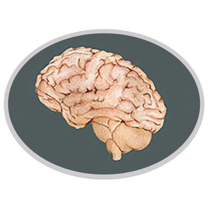 brain mask snaps