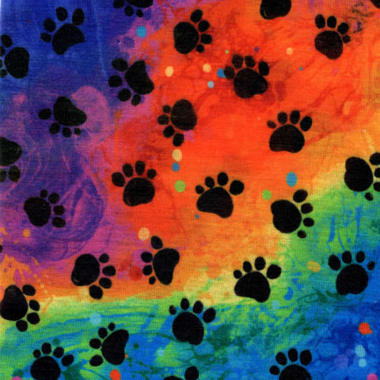 Rainbow Paws Headband