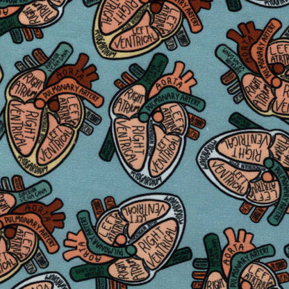 Heart Parts
