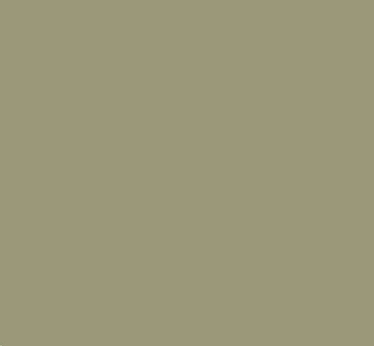 sagegreen headband