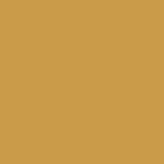 Soft Gold Headband